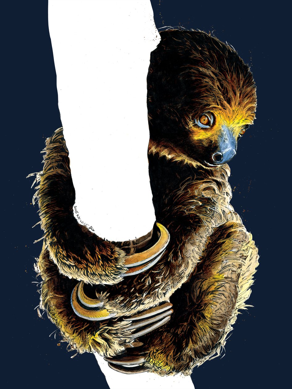 Talita The Sloth on Midnight Blue, 2020 tekijältä Mike Davis