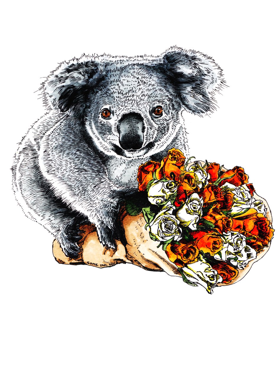 Kiitos Koala on White, 2020 tekijältä Mike Davis