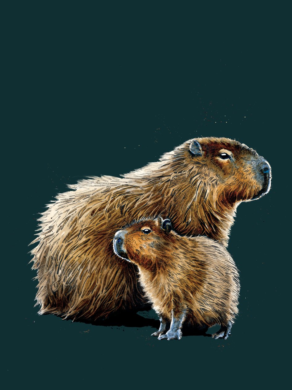The Capybaras on Deep Cyan, 2020 tekijältä Mike Davis