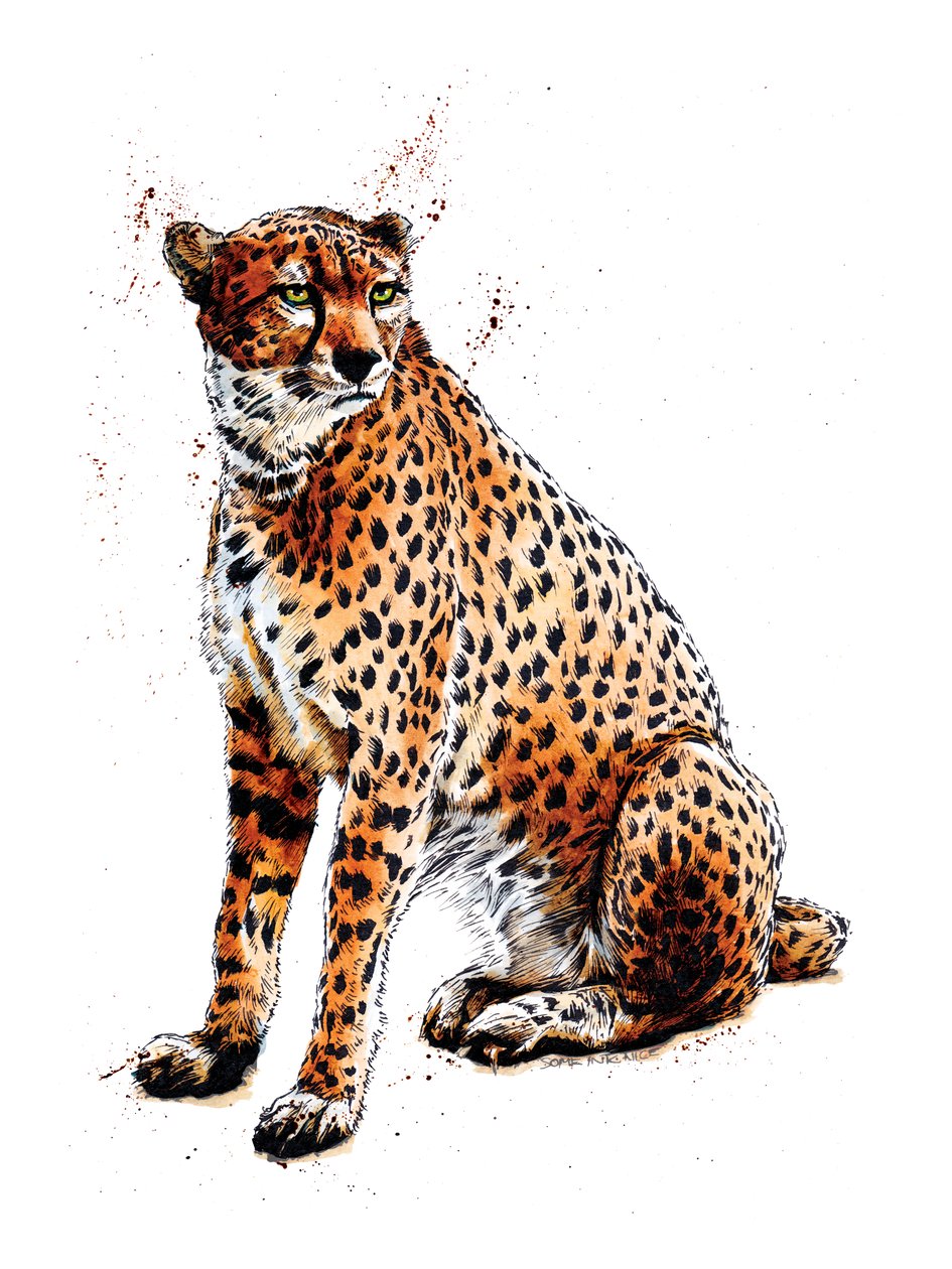 Cheetah on White, 2020 tekijältä Mike Davis