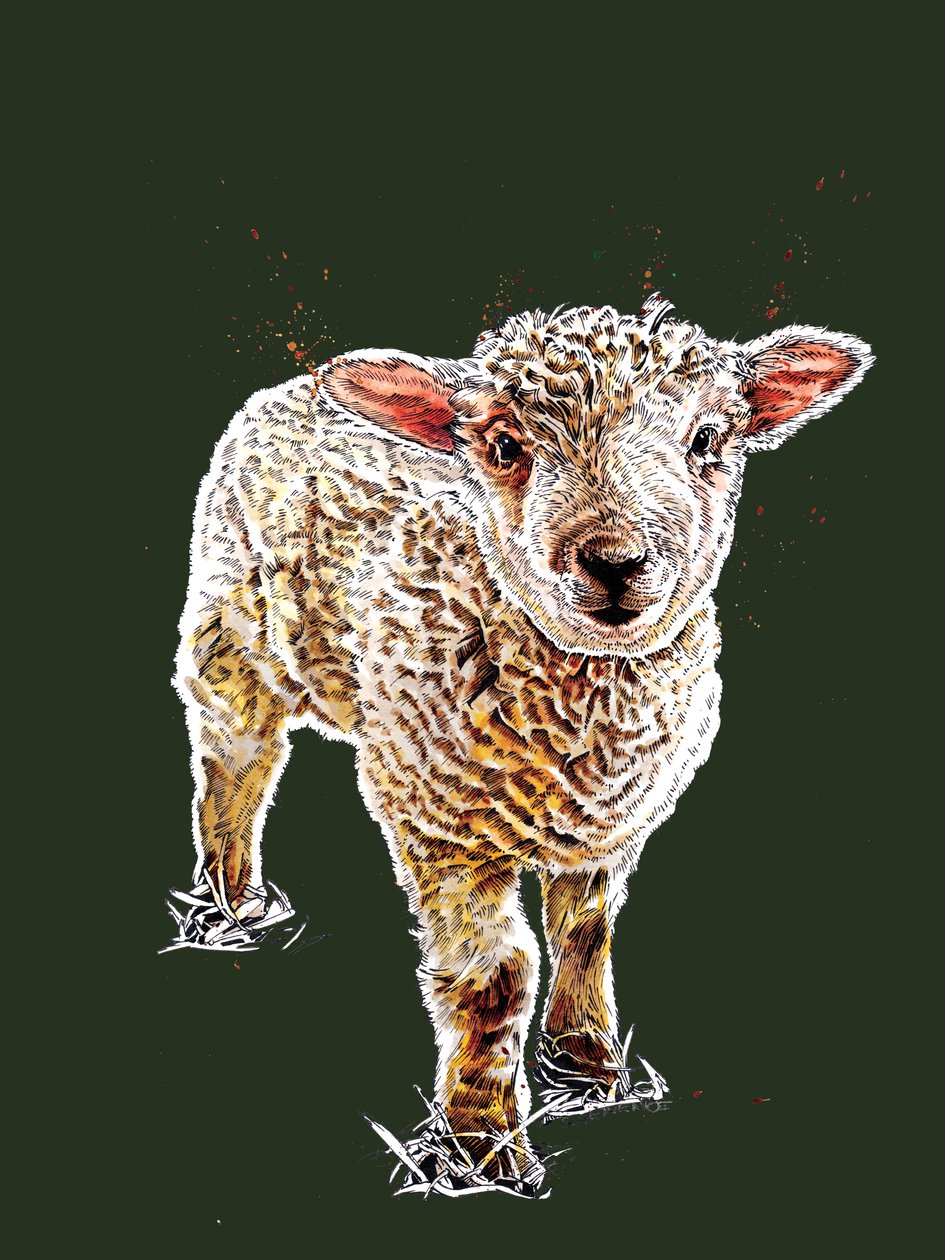 Lamb on Forest Green, 2020 tekijältä Mike Davis