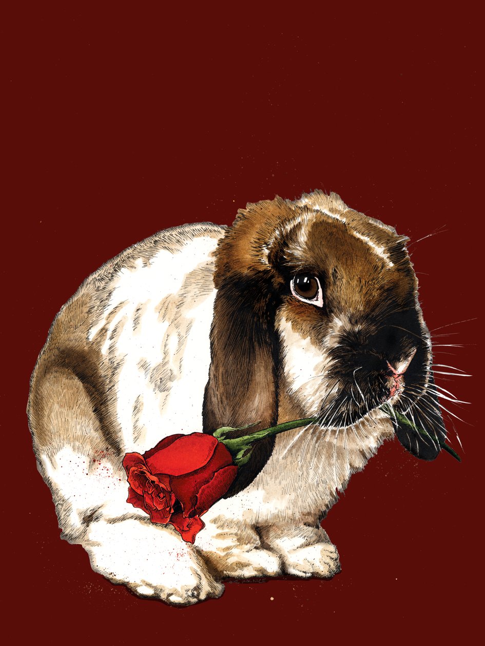 The Love Bunny on Red Oxide, 2020 tekijältä Mike Davis
