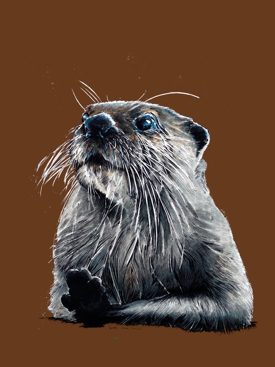 Otter on Burnt Orange, 2020 tekijältä Mike Davis