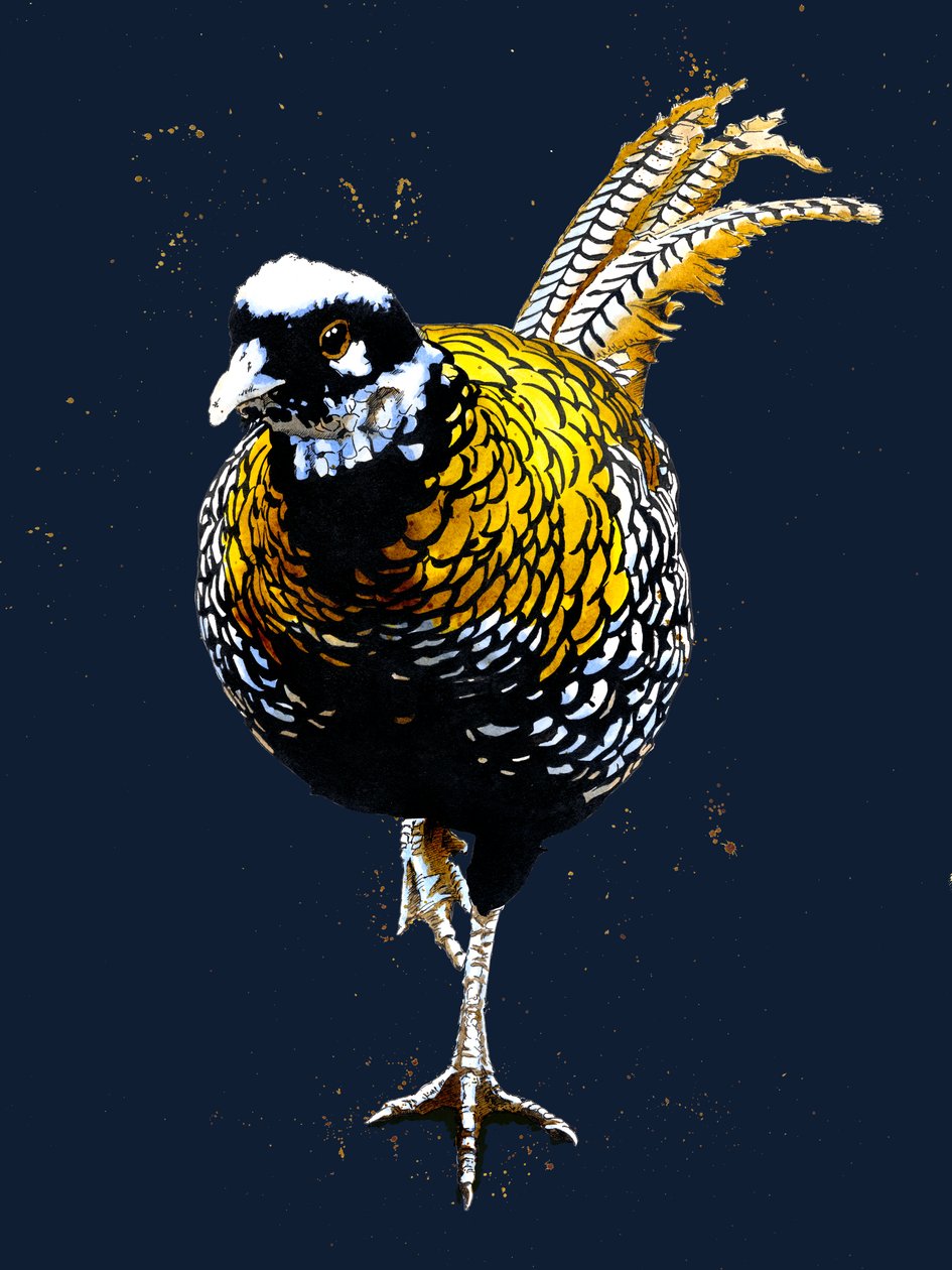 The Reeves Pheasant Midnight Bluessa, 2020 tekijältä Mike Davis