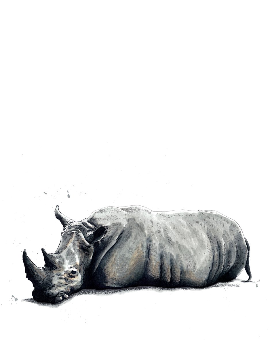 Sarvikuono valkoisella, 2019 tekijältä Mike Davis