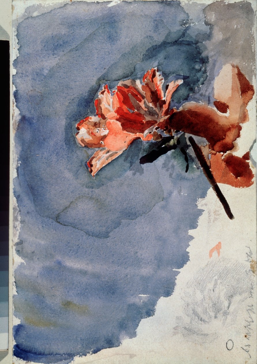 Punainen atsalea (Red Azalea) - Mihail Aleksandrovich Vrubelin (Vrubel) (1856-1910) akvarelli paperille taideteos tekijältä Mikhail Aleksandrovich Vrubel