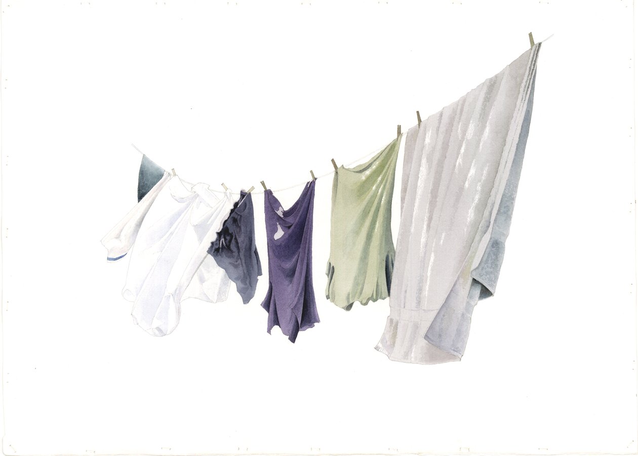 Spring Washing-line, 2003 (wc paperilla) tekijältä Miles Contemporary Artist Thistlethwaite
