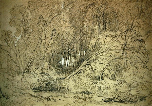 Aave puussa (mustavalkoinen liitu paperille) tekijältä Miles Edmund Cotman