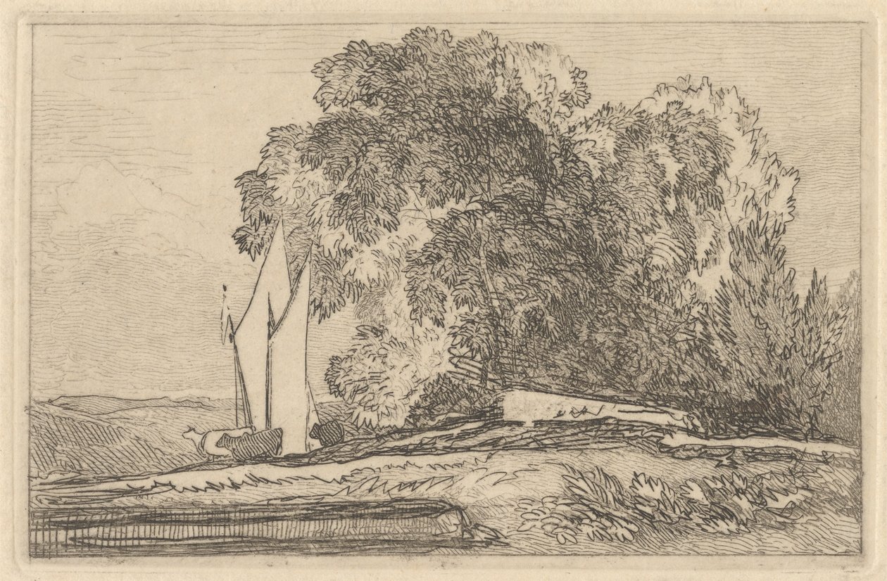 Tutkimus puista Yaren rannoilla tekijältä Miles Edmund Cotman