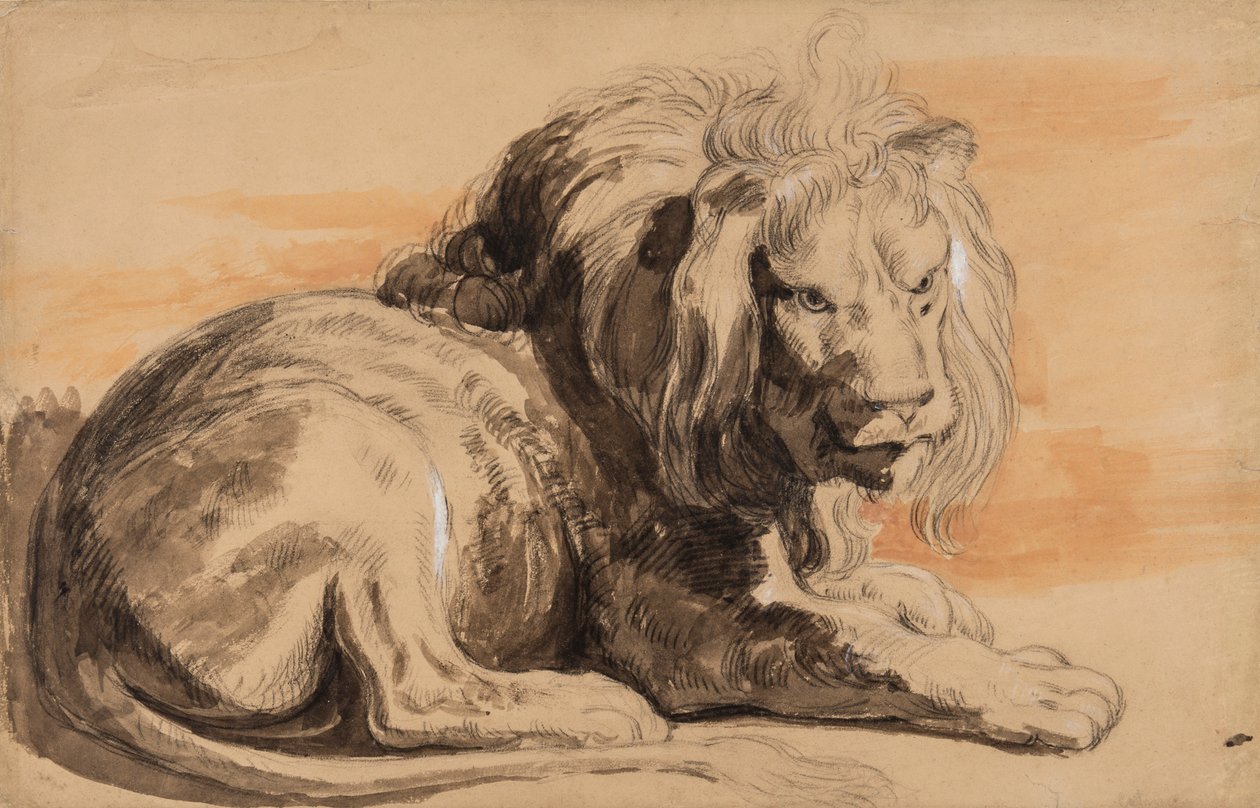 Rubensin leijona, n. 1840 (liitu, wc ja guassi ruskealla paperilla) tekijältä Miles Edmund Cotman