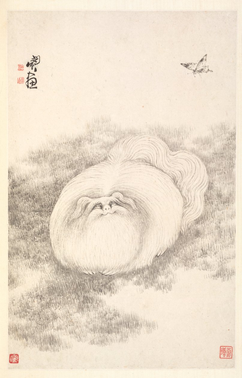 Kissa ja perhonen, 1788. tekijältä Min Zhen