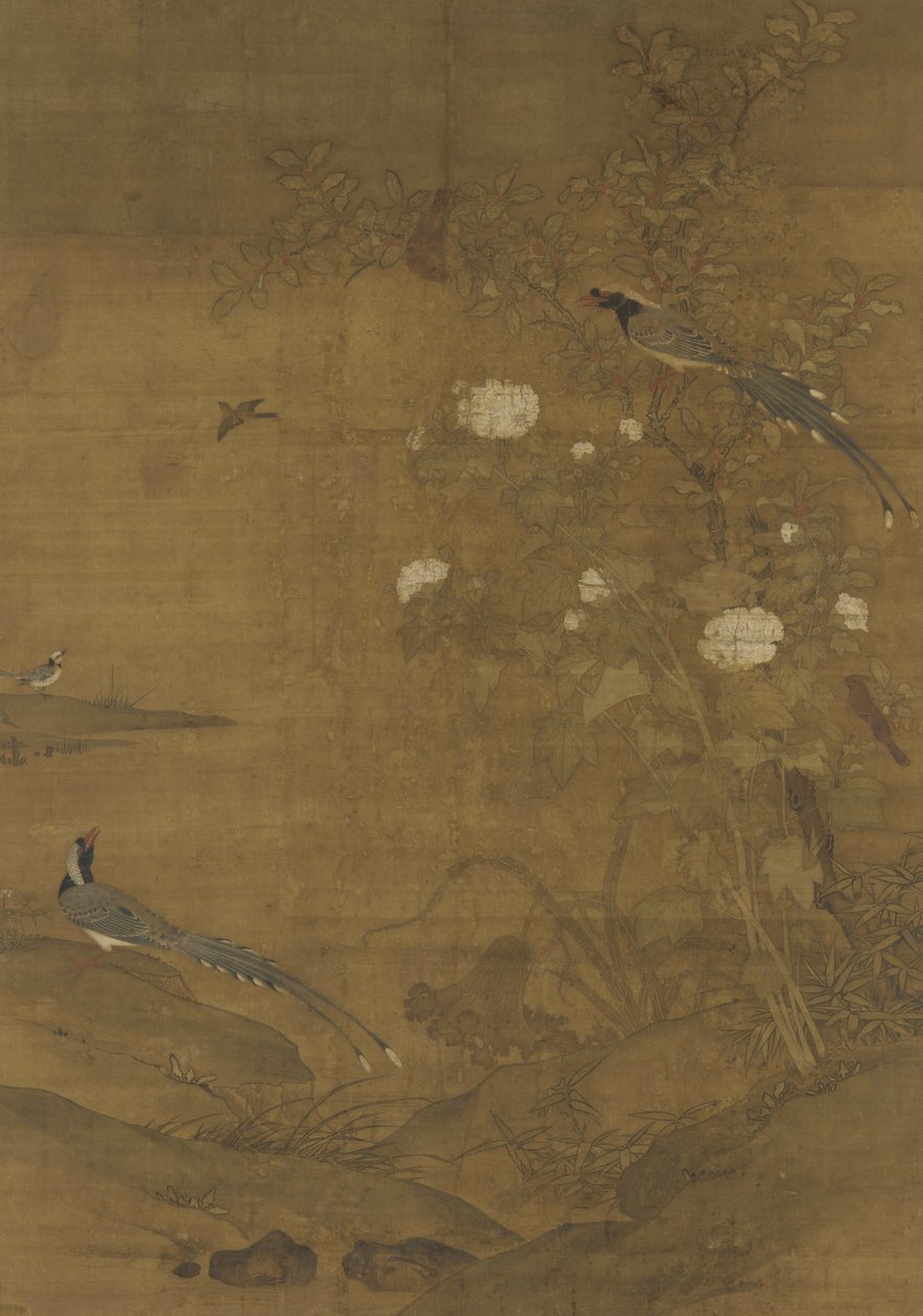 Harakka, Waxwing, Hibiscus ja Kaneli, n. 1400 tekijältä Ming Dynasty Chinese School