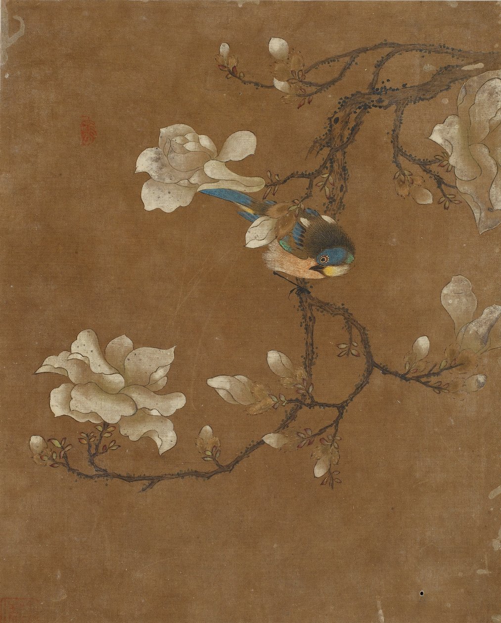 Kymmenen kuvaa linnuista ja kukista (väri silkillä) tekijältä Ming Dynasty Chinese School