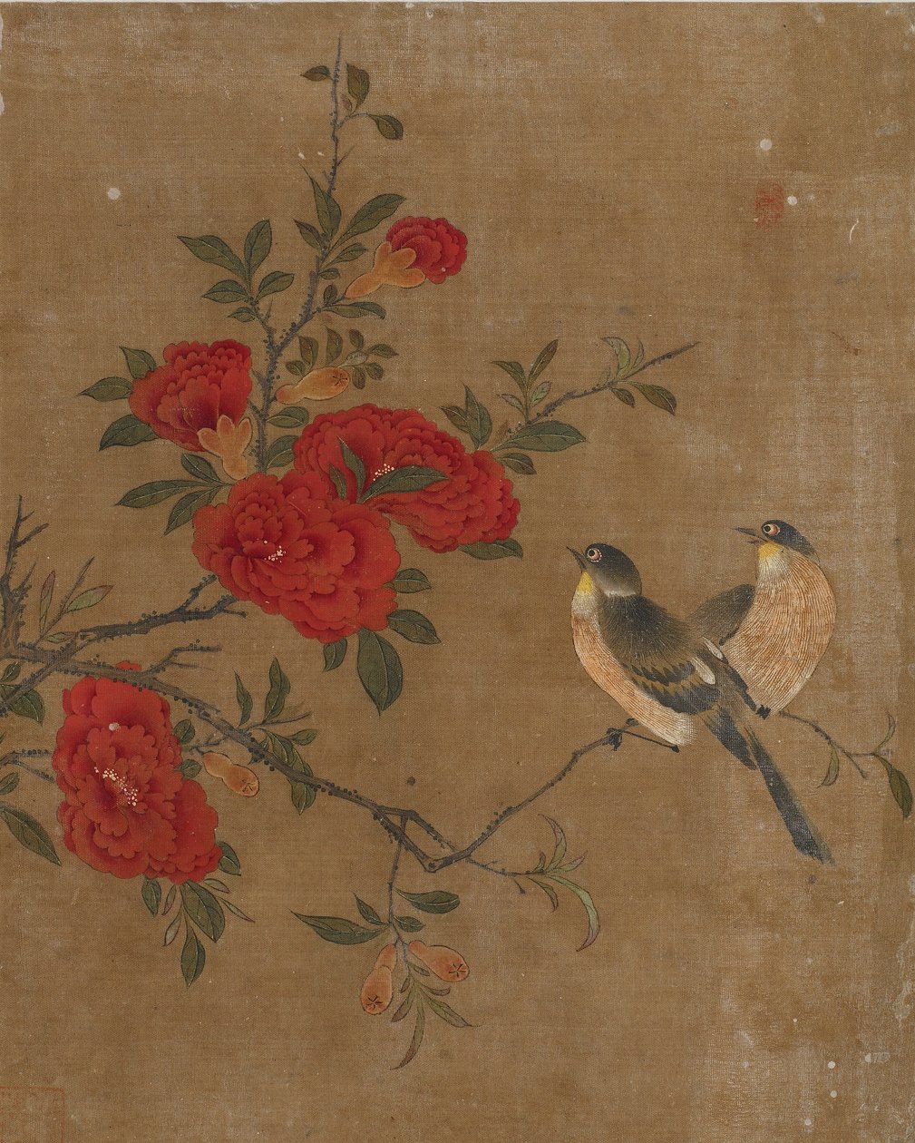 Kymmenen kuvaa linnuista ja kukista (väri silkillä) tekijältä Ming Dynasty Chinese School