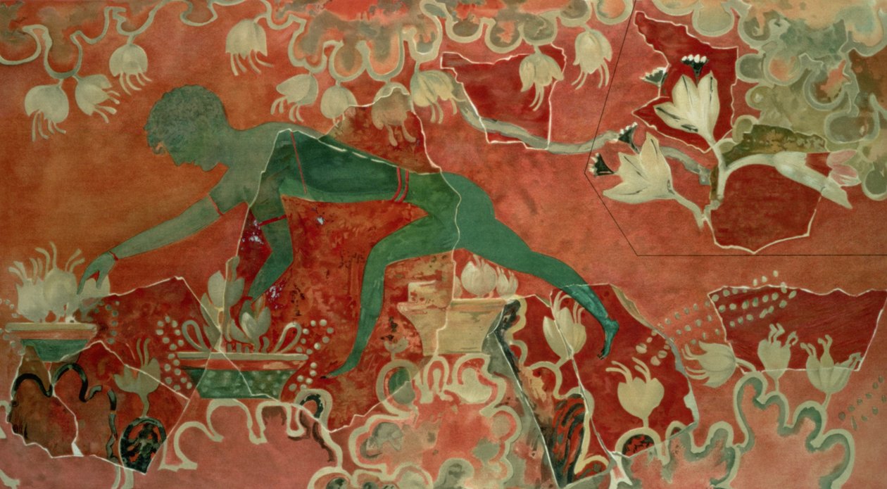 Poika Blue Monkey Frescosta, Knossoksen palatsista, Kreeta, n. 1500 eKr. (freskomaalaus) tekijältä Minoan