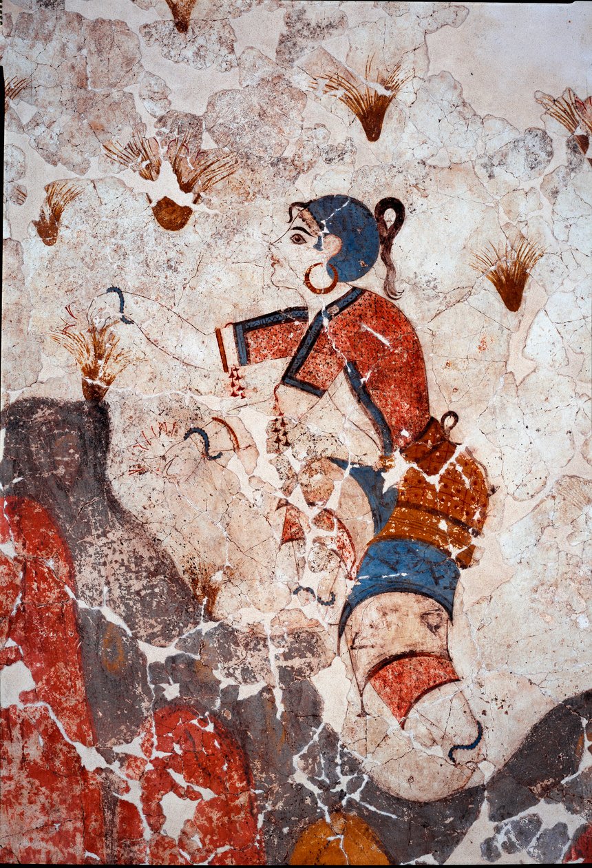 Minolainen sivilisaatio: naiset poimivat sahramia. Yksityiskohta fresosta Xeste 3:n lustraalialtaalta Akrotirissa (Thera), Santorinilla. Himmeä. 244x266 cm 1500-luku eKr. Santorini, Akrotiri a Theran freskokokoelma - Minolainen sivilisaatio: naiset poimiva tekijältä Minoan