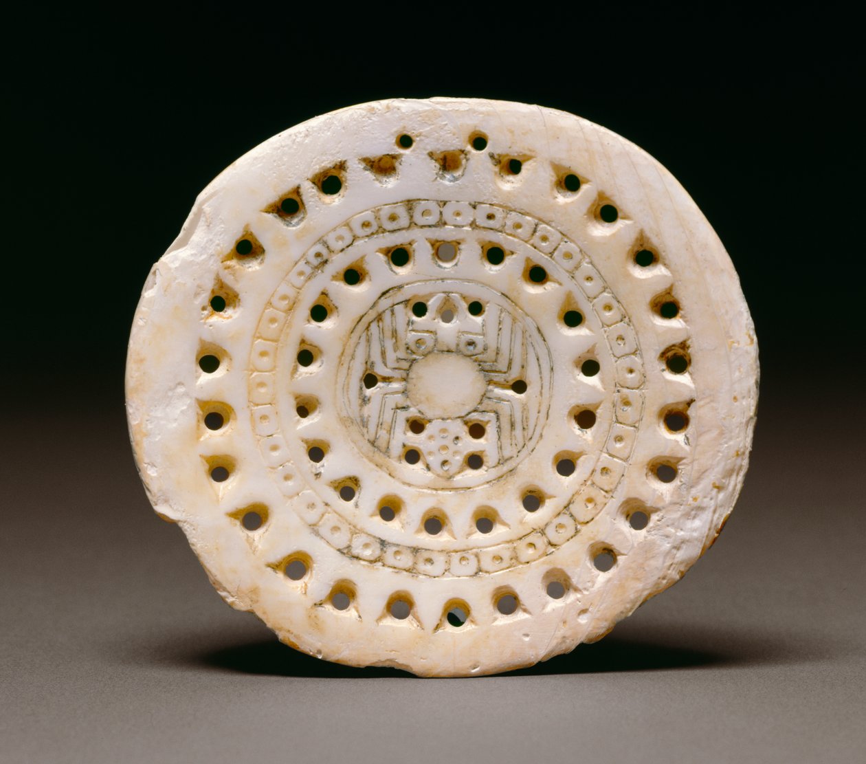 Hämähäkkiaiheinen rotko, Dallas, 1300-1500 (meren kuori) tekijältä Mississippian culture