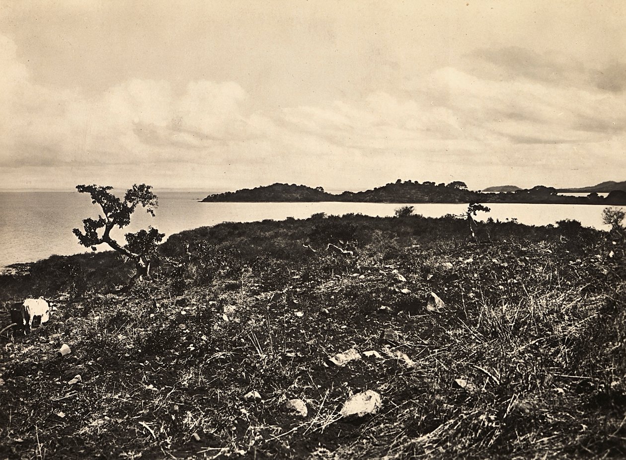 Imperiumin rakentaminen fasistisella aikakaudella: Tanajärvi. Etiopia, 5.9.1936 (m/w kuva) tekijältä Modestino Baldinetti