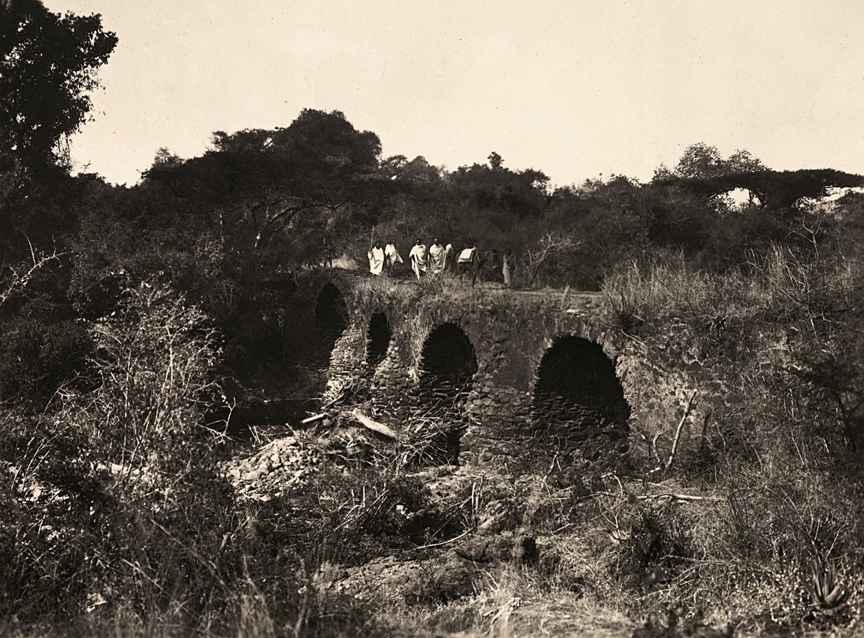 Imperiumin rakentaminen fasistisella aikakaudella: portugalilainen silta, 9.5.1936 (b/w kuva) tekijältä Modestino Baldinetti