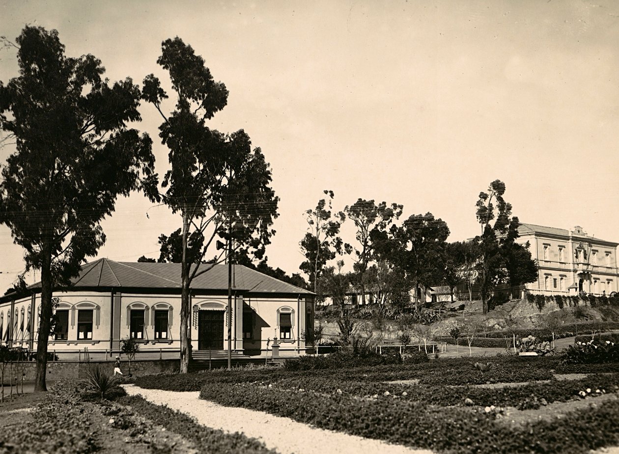 Imperiumin rakentaminen fasistisella aikakaudella: Asmaran virkamiespiiri, 9.5.1936 (mv/v kuva) tekijältä Modestino Baldinetti