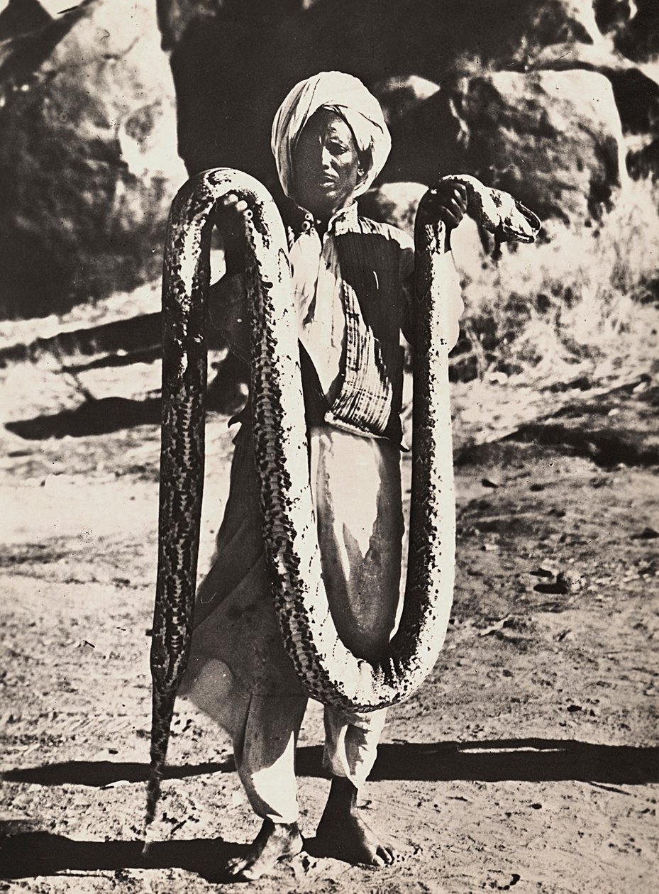 Imperiumin rakentaminen fasistisella aikakaudella: alkuperäisväestö pythonin kanssa, 09.5.1936 (mv/w kuva) tekijältä Modestino Baldinetti