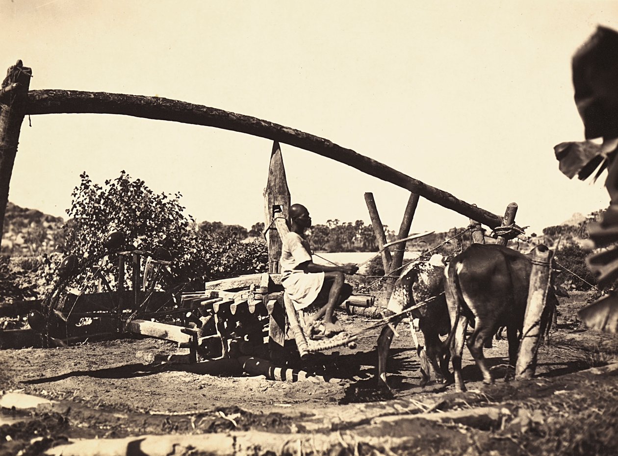 "Imperiumin rakentaminen" fasistisella aikakaudella: alkuperäiskansat Noria, 9.5.1936 (m/v kuva) tekijältä Modestino Baldinetti