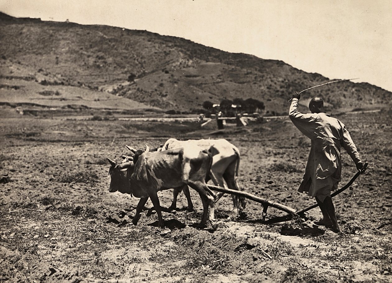 Imperiumin rakentaminen fasistisella aikakaudella: altopian kyntäminen, 09.05.1936 (m/v kuva) tekijältä Modestino Baldinetti
