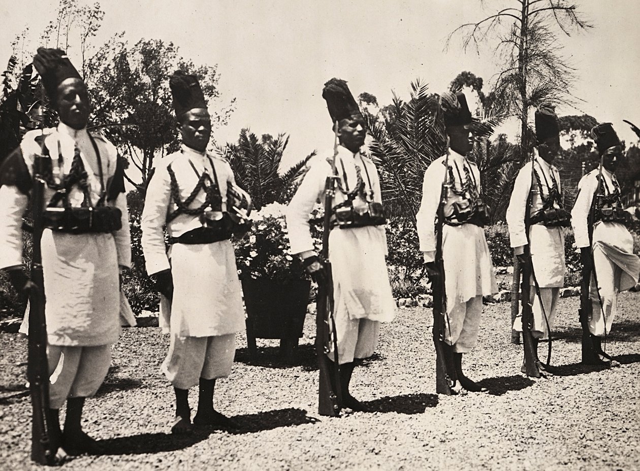 Imperiumin rakentaminen fasistisella aikakaudella: uskolliset, 5.9.1936 (mv. kuva) tekijältä Modestino Baldinetti