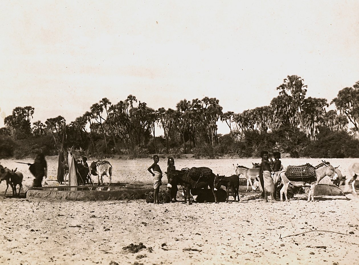 Imperiumin rakentaminen fasistisella aikakaudella: kaivot Gascissa, 9.5.1936 (mv. kuva) tekijältä Modestino Baldinetti