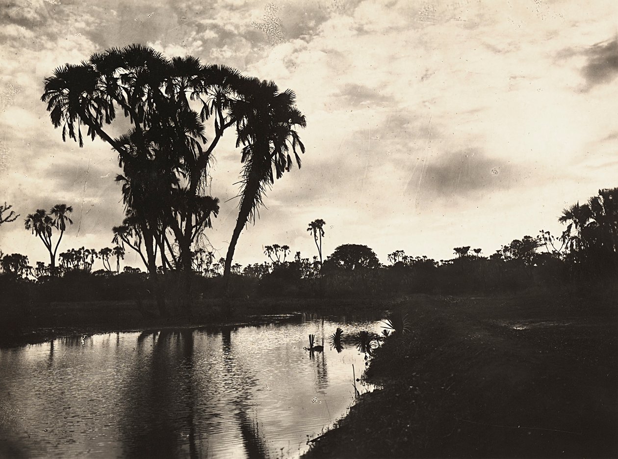 Imperiumin rakentaminen fasistisella aikakaudella: läntinen alatasango, 9.5.1936 (mv/w kuva) tekijältä Modestino Baldinetti