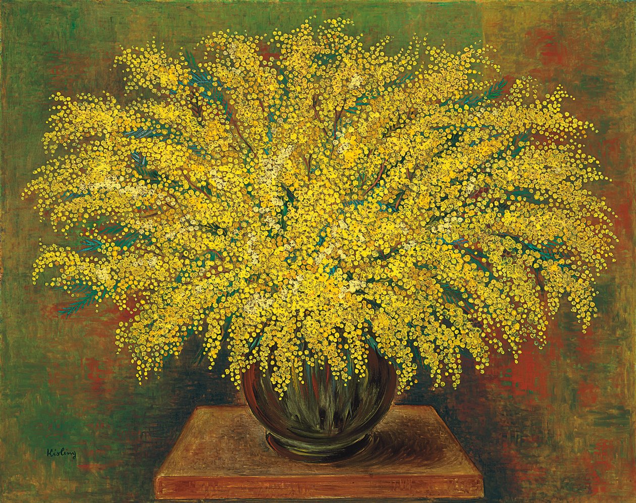 Mimosat tekijältä Moise Kisling