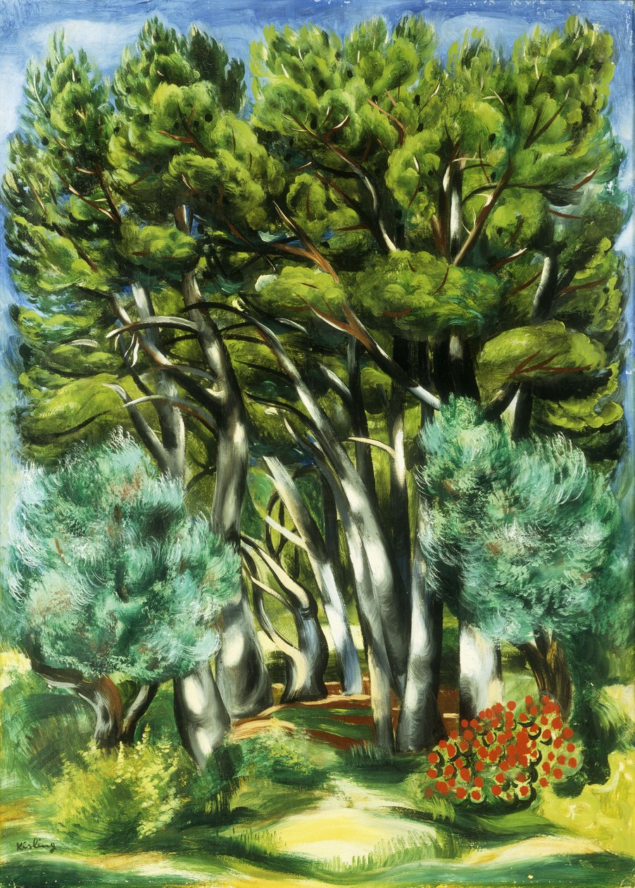 Maisema tekijältä Moise Kisling