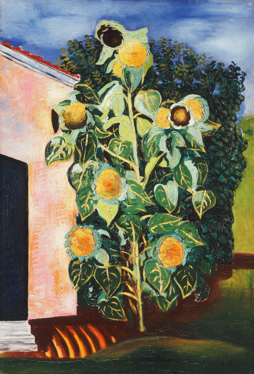 Auringonkukat; Les Tournesols tekijältä Moise Kisling