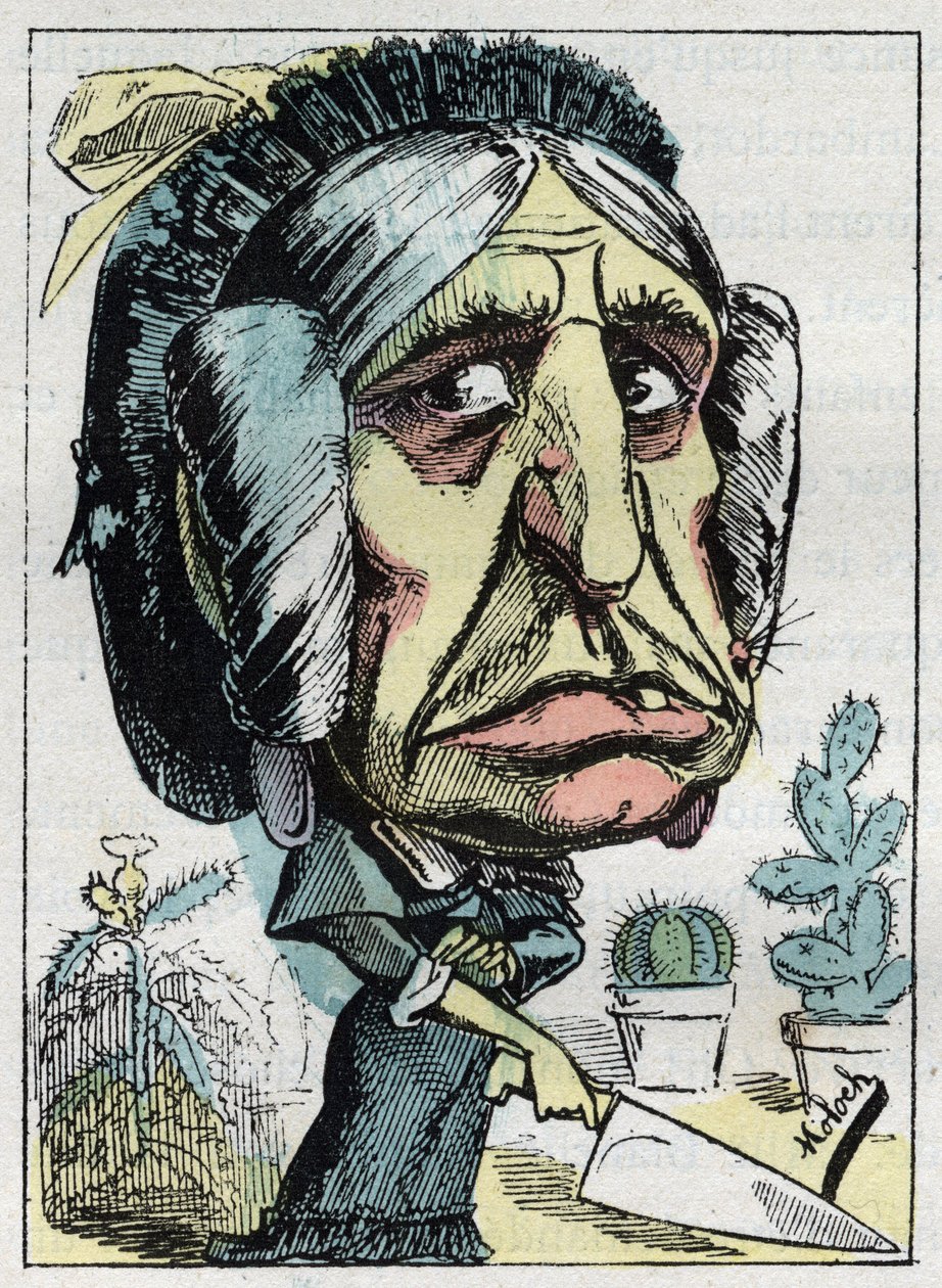 Allegoria "" äitipuoli "" (Belle mere) Touchatoutin "" Le Trombinoscope" -kirjassa, B. Molochin karikatyyri vuodelta 1882 (1849-1909). Yksityinen kokoelma. tekijältä Moloch