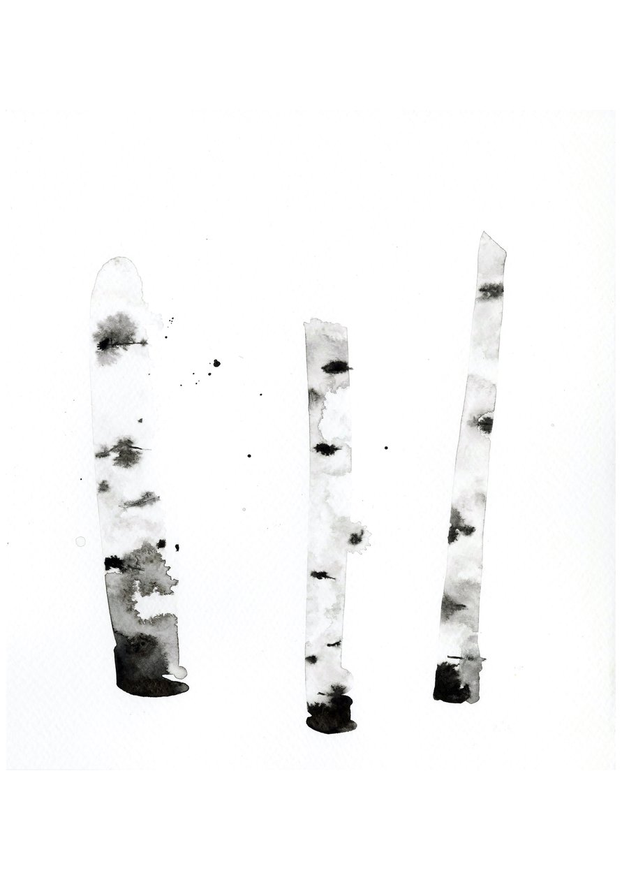 Ghost Birch, 2022 (vesiväri Langton, 300 g/m² kylmäpuristettu paperi). tekijältä Monica Perez Vega