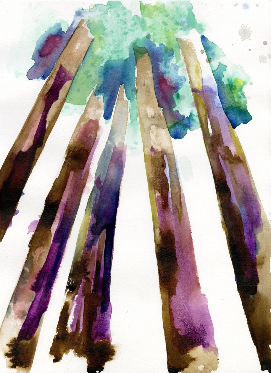 Sequoia 3, 2021 (vesiväri Langton, 300 g/m² kylmäpuristettu paperi). tekijältä Monica Perez Vega