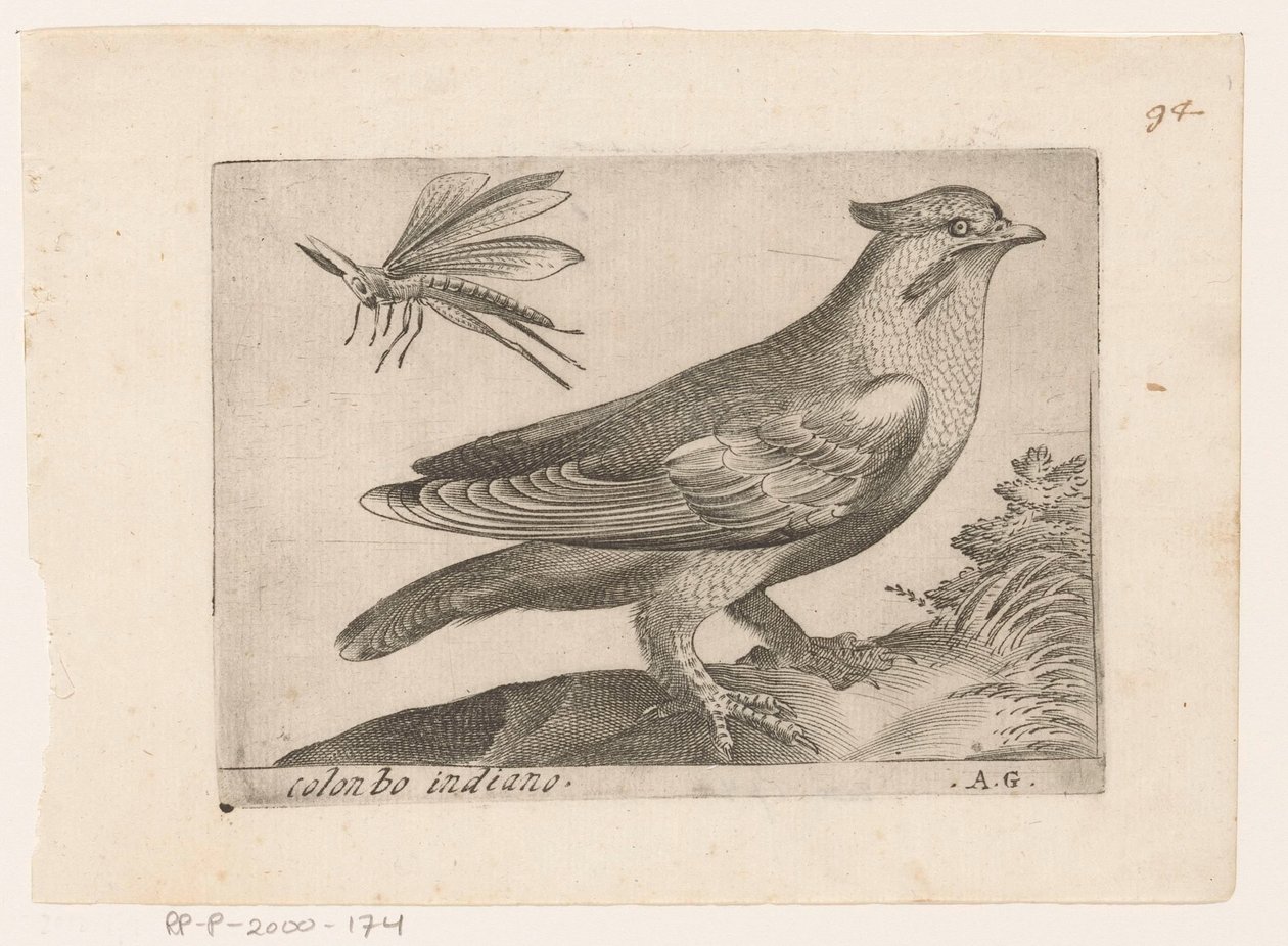 Pestvogel (Bombycilla garrulus) Colonbo indiano (otsikko esineessä) Vogels (sarjan nimi) tekijältä Monogrammist AG