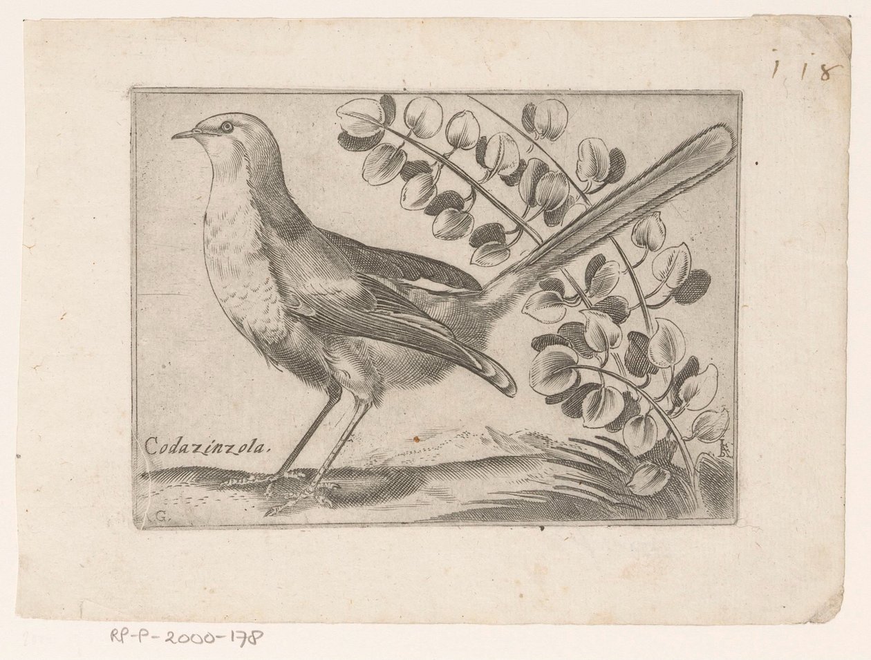 Vogel Codazinzola (otsikko esineessä) Vogels (sarjan nimi) tekijältä Monogrammist AG