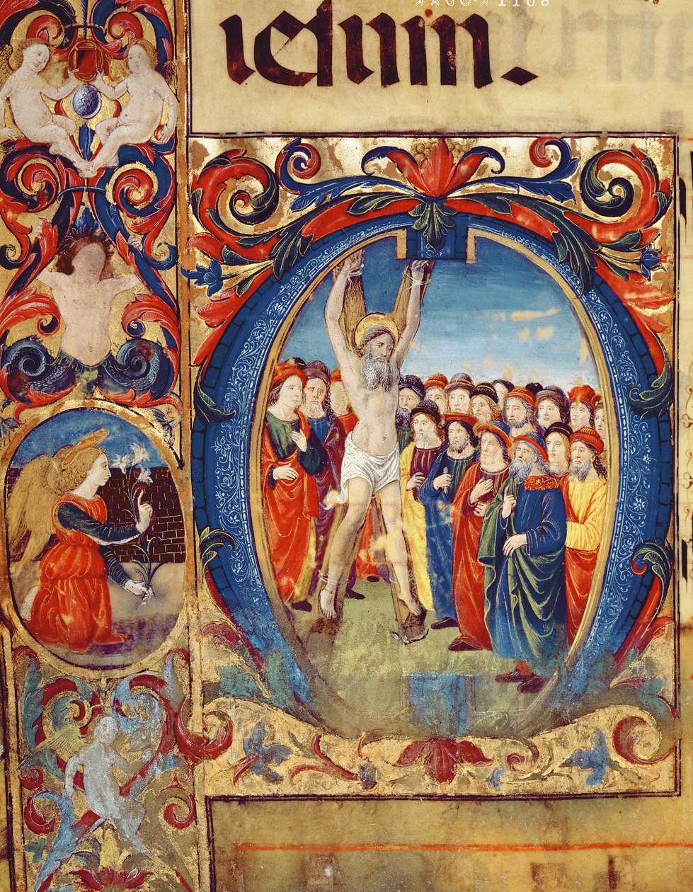Ms 543 f.5v Historioitu alkukirjain O Pyhän Andreaksen ristiinnaulitsemisen kanssa, psalterista, n. 1515 tekijältä Monte di Giovanni del Fora