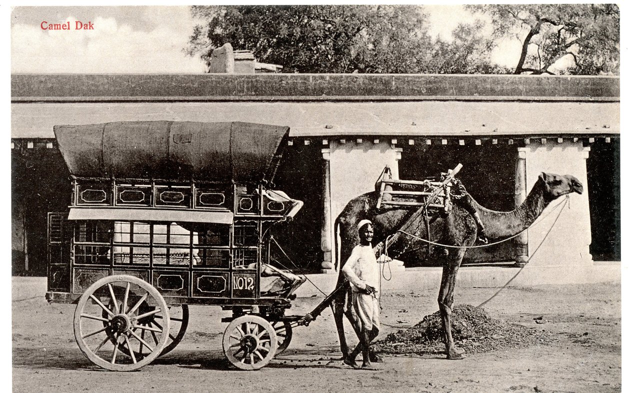 Camel Dak, n.1911-12 (seepia valokuva). tekijältä Moorli Dhur and Sons