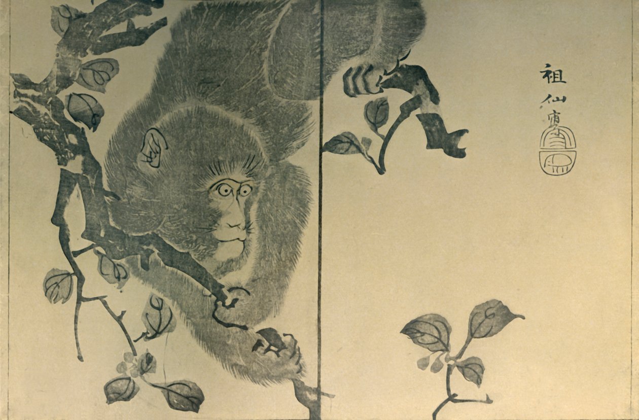 Apina, 1815, 1924. tekijältä Mori Sosen