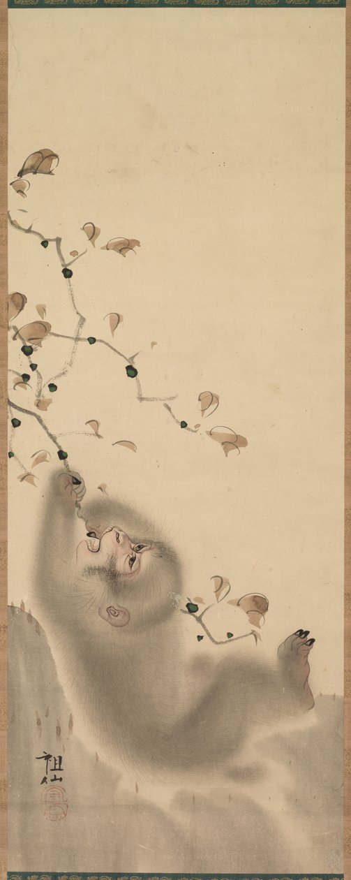 Apina riippumassa oksasta, 1780. tekijältä Mori Sosen