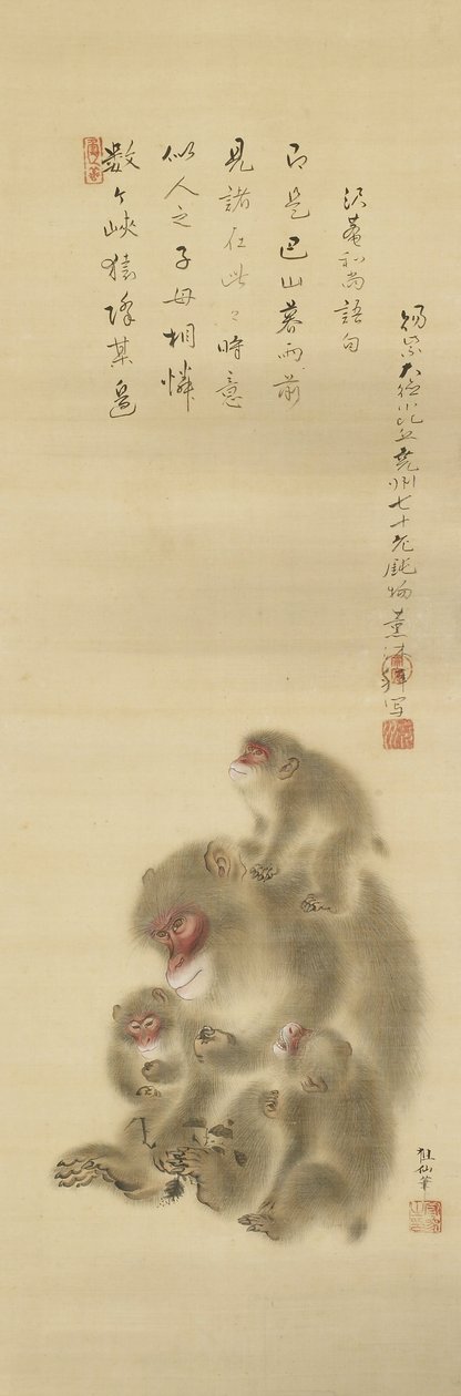 Mori Sosen apinat (Nomuran taidemuseo) tekijältä Mori Sosen