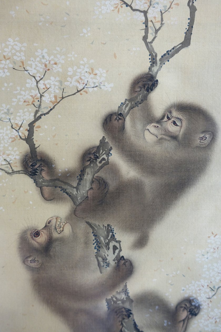 Apinoita kukkivassa kirsikkapuussa, 1 kahdesta, Mori Sosen, Japani, Edo-kausi, 1800-luvun alku, tussi ja väri silkille - Arthur M. Sackler Museum, Harvard University - DSC01127 tekijältä Mori Sosen