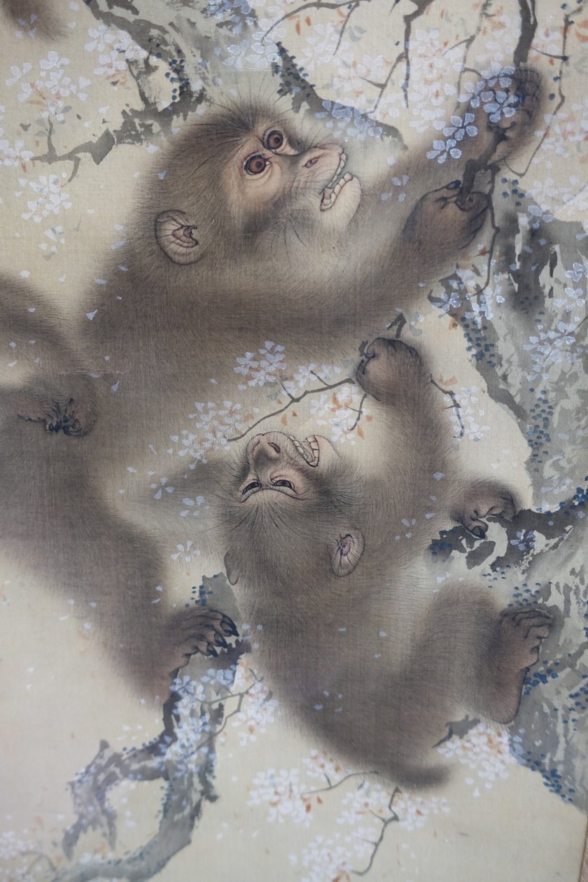 Apinoita kukkivassa kirsikkapuussa, 2 kahdesta, Mori Sosen, Japani, Edo-kausi, 1800-luvun alku, muste ja väri silkille - Arthur M. Sackler Museum, Harvard University - DSC01128 tekijältä Mori Sosen