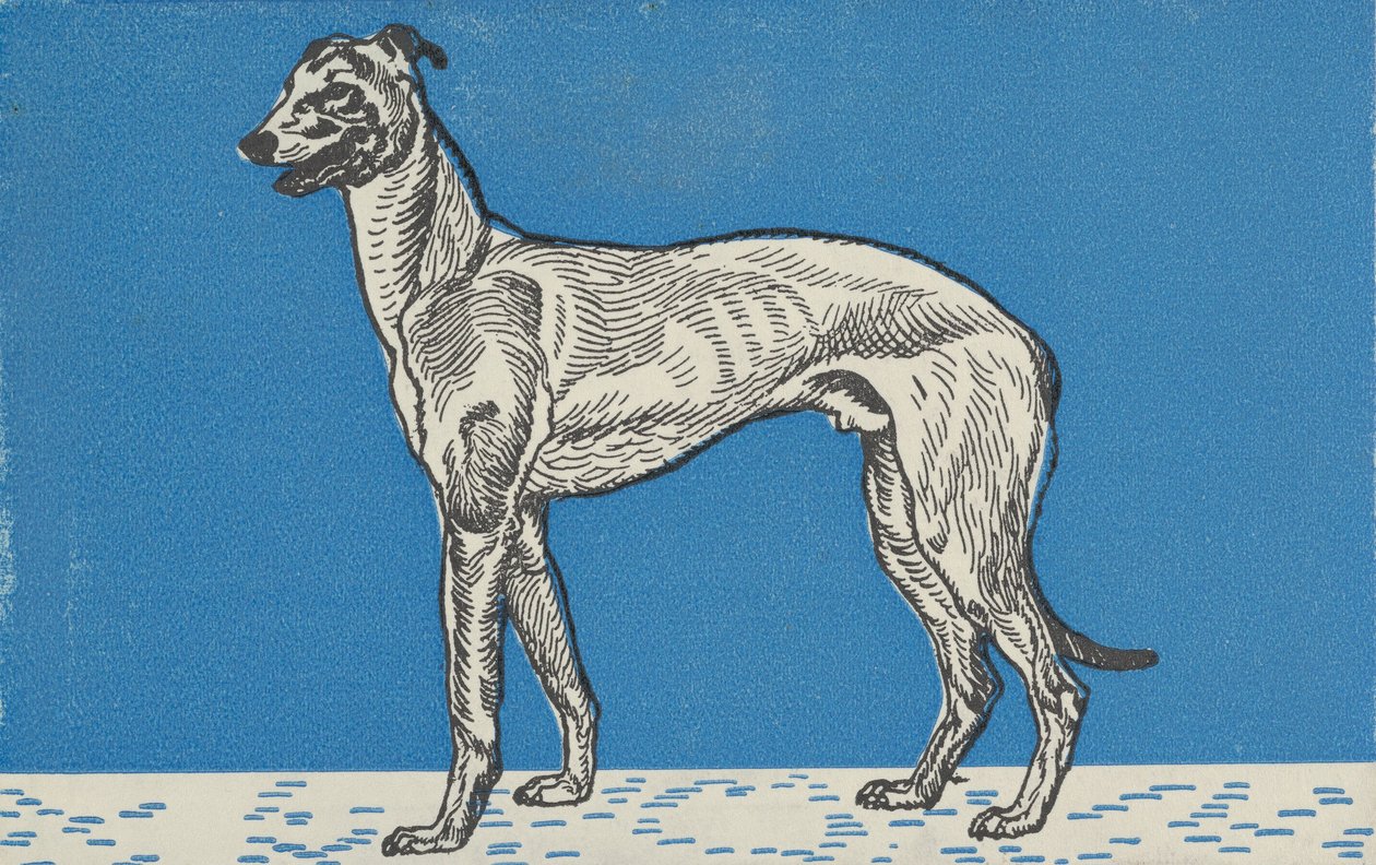 Vinttikoira, 1912. tekijältä Moritz Jung