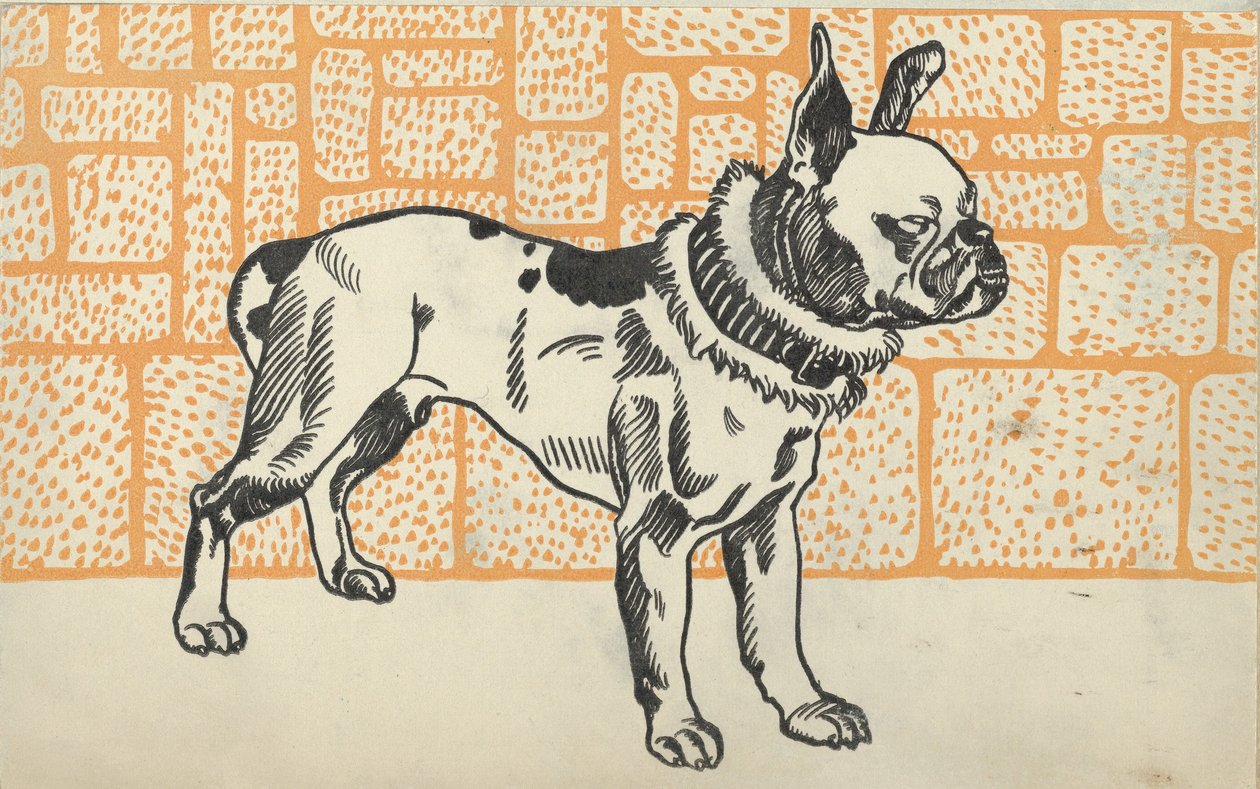 Pitbullterrieri, 1912. tekijältä Moritz Jung