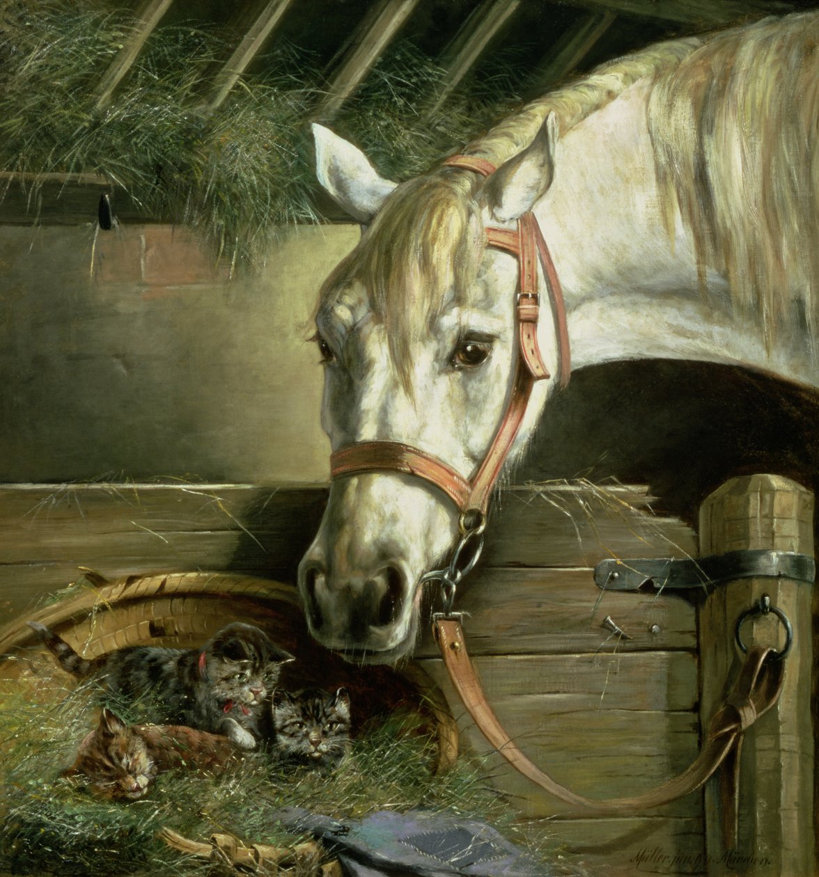 Hevonen ja kissanpennut, 1890 tekijältä Moritz Muller