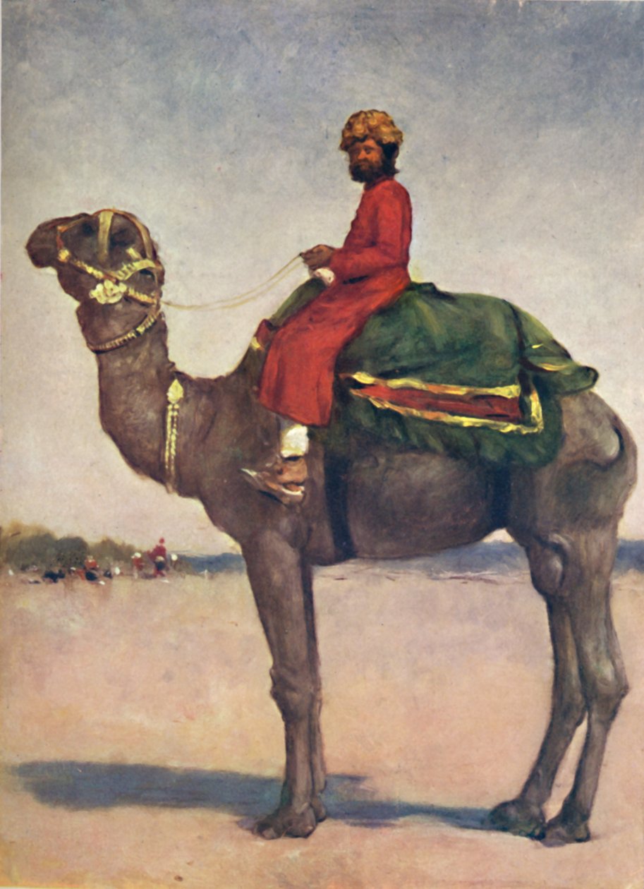 "Kamelin ratsastaja Kotasta", 1903 tekijältä Mortimer L Menpes