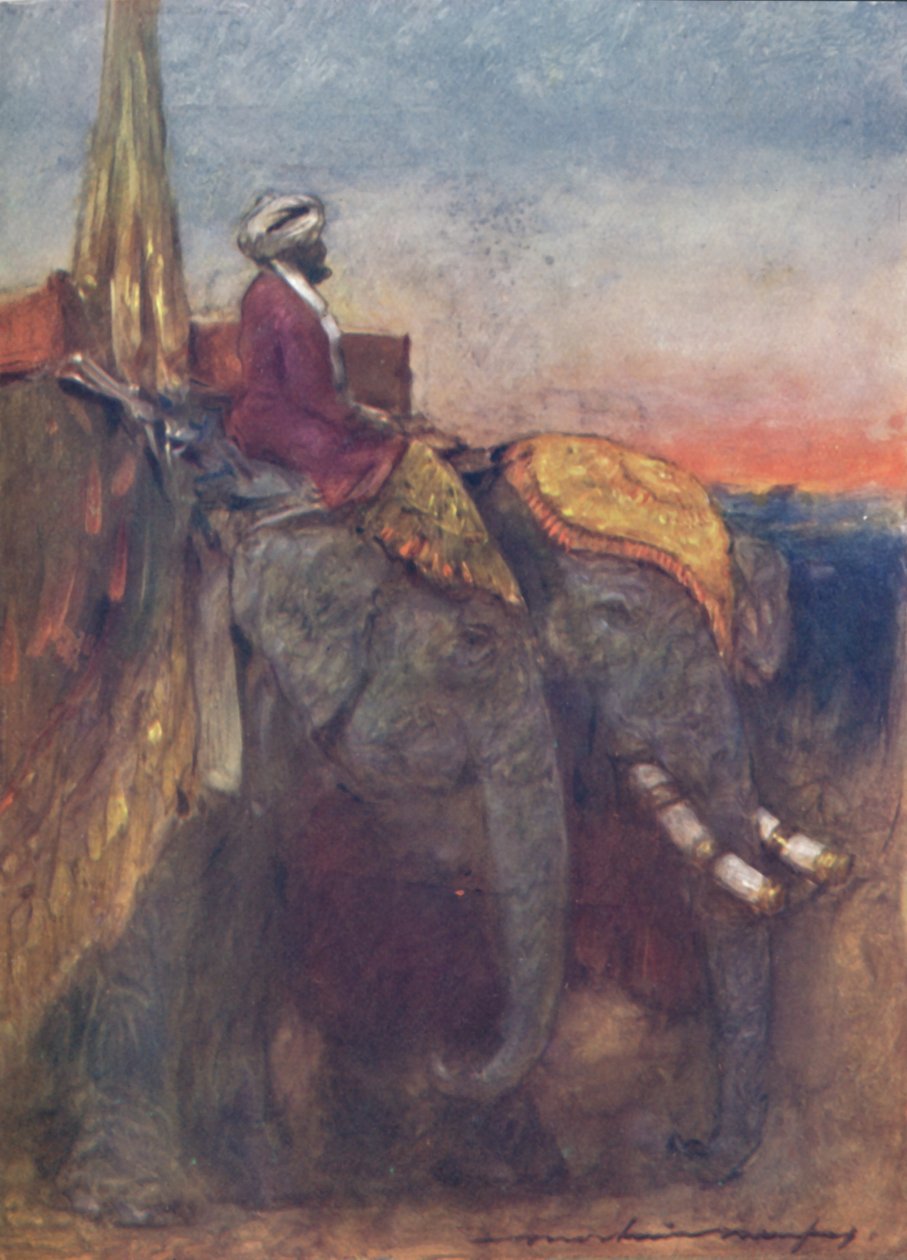 "Jaipur Elephants", 1903 tekijältä Mortimer L Menpes